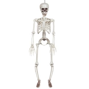 Halloween Decoratie hangend Skelet (91 cm)