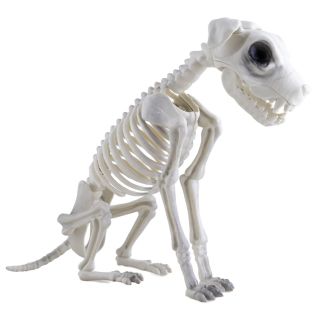 Halloween decoratie honden skelet 43 cm
