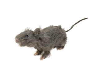 Halloween decoratie Rat, levensecht met vacht 30cm