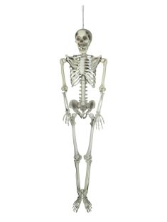 Halloween-skelet, 150 cm