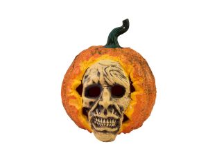 Halloween Schedel Pompoen, 26cm