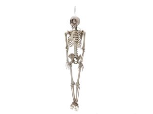 EUROPALMS Halloweenfiguur skelet vormbaar beweegbaar, 160 cm