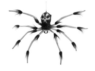 EUROPALMS Halloween decoratieve spin geanimeerd op en neer 60 cm
