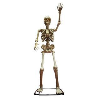 halloween decoratie Big bones Boris, Gigantisch skelet 335cm