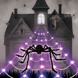 Halloween Led recht spinnenweb met spin 5 meter