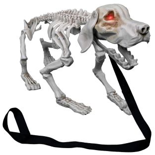 animatronic Halloween decoratie blaffend hondenskelet met licht en geluid